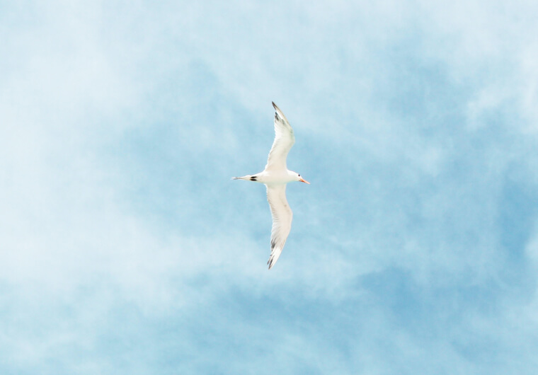 Pure Passion: Your 100x Fuel for Life & Professional Success